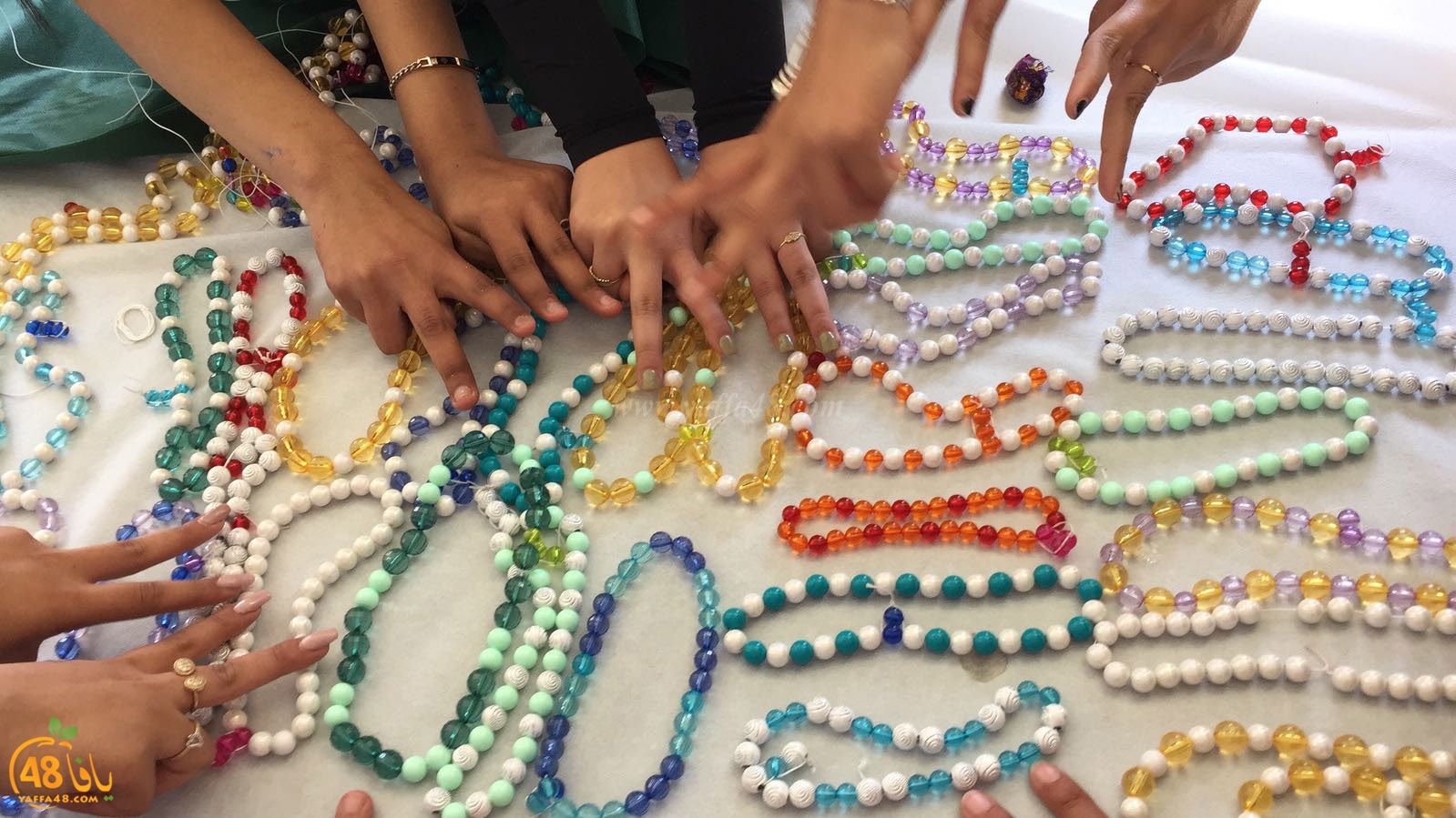 shamelahhqej (38).jpg